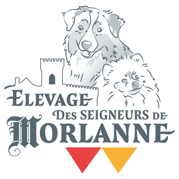 Élevage Des Seigneurs de Morlanne