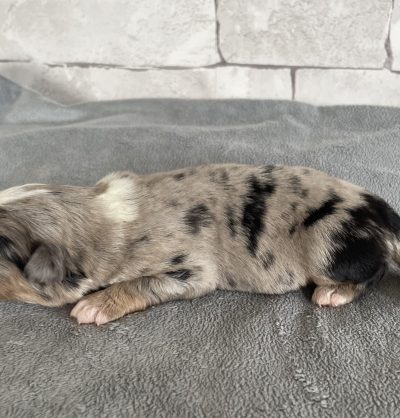 2026-02-09_13-33-10_164