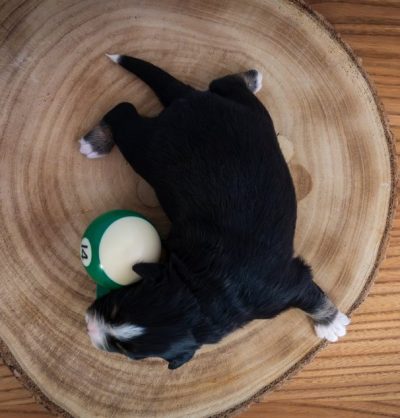 3Op07NBr1kCTFroVXuEau1MuxtJd8Ta9vgWBwFJpS7oeJxFPc