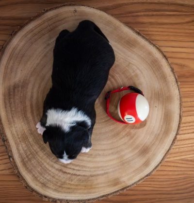 G-dRPtfwFJ83Jb5NN6uYvLqRNZtc3406NEmpOk4TwzceJxFPc