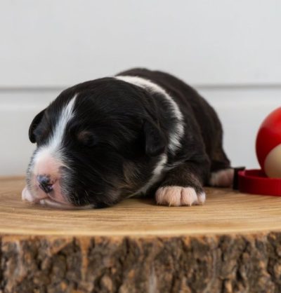 OIRdxMagXl33Eq-Qax54ZezytkxL2-EtayCt3NLmbR0eJxFPc