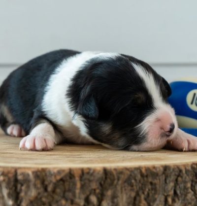 s3dMzrNHJj_gKrvMCi4MIXiN2DbT4917ouJvDXoEbjgeJxFPc