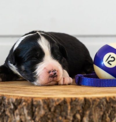 yGkWLPjEJ1bfln5chmdk-MJEDcZgWv4RshI6EeRa7IseJxFPc